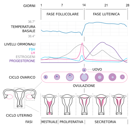 farmaci-per-stimolare-lovulazione